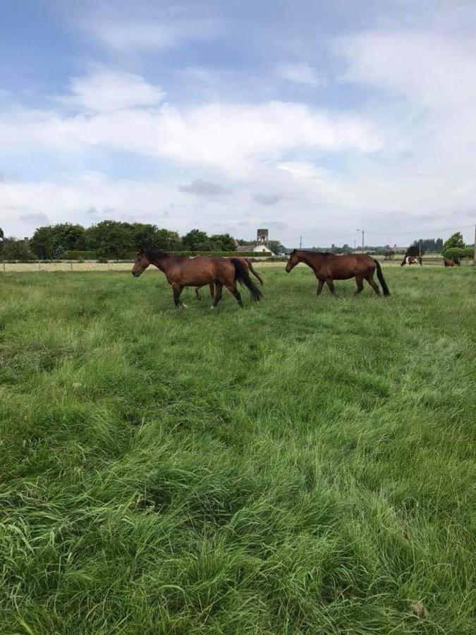 Ferme De La Forterie Verlinghem Buitenkant foto