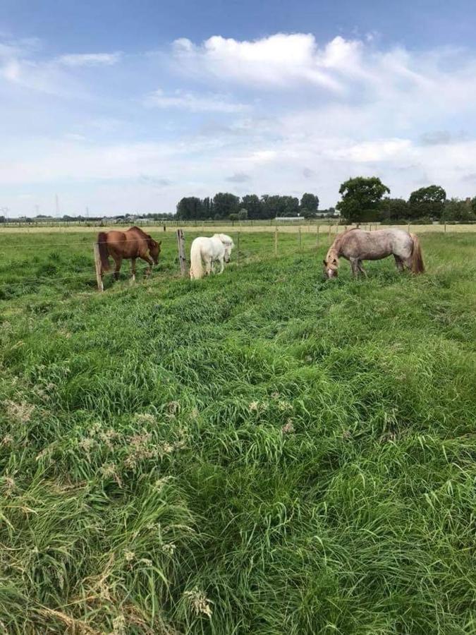 Ferme De La Forterie Verlinghem Buitenkant foto