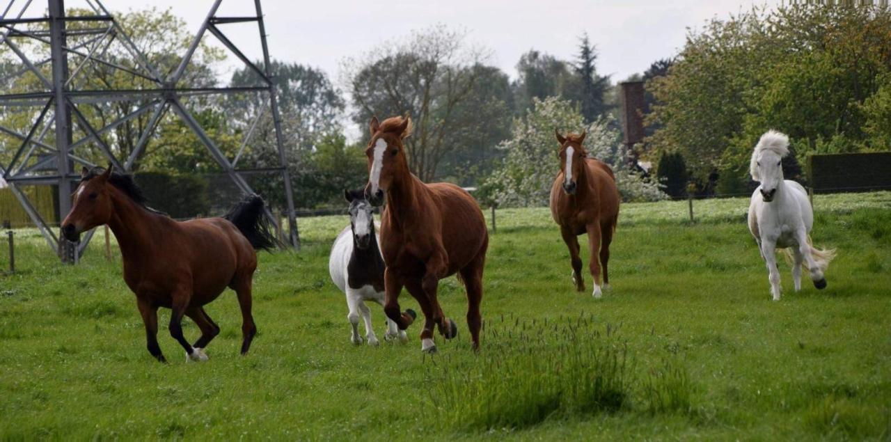 Ferme De La Forterie Verlinghem Buitenkant foto